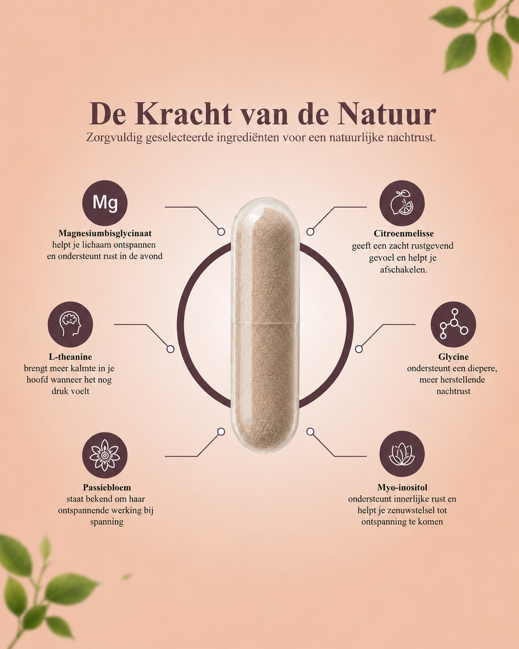 Natuurlijke Slaapkracht